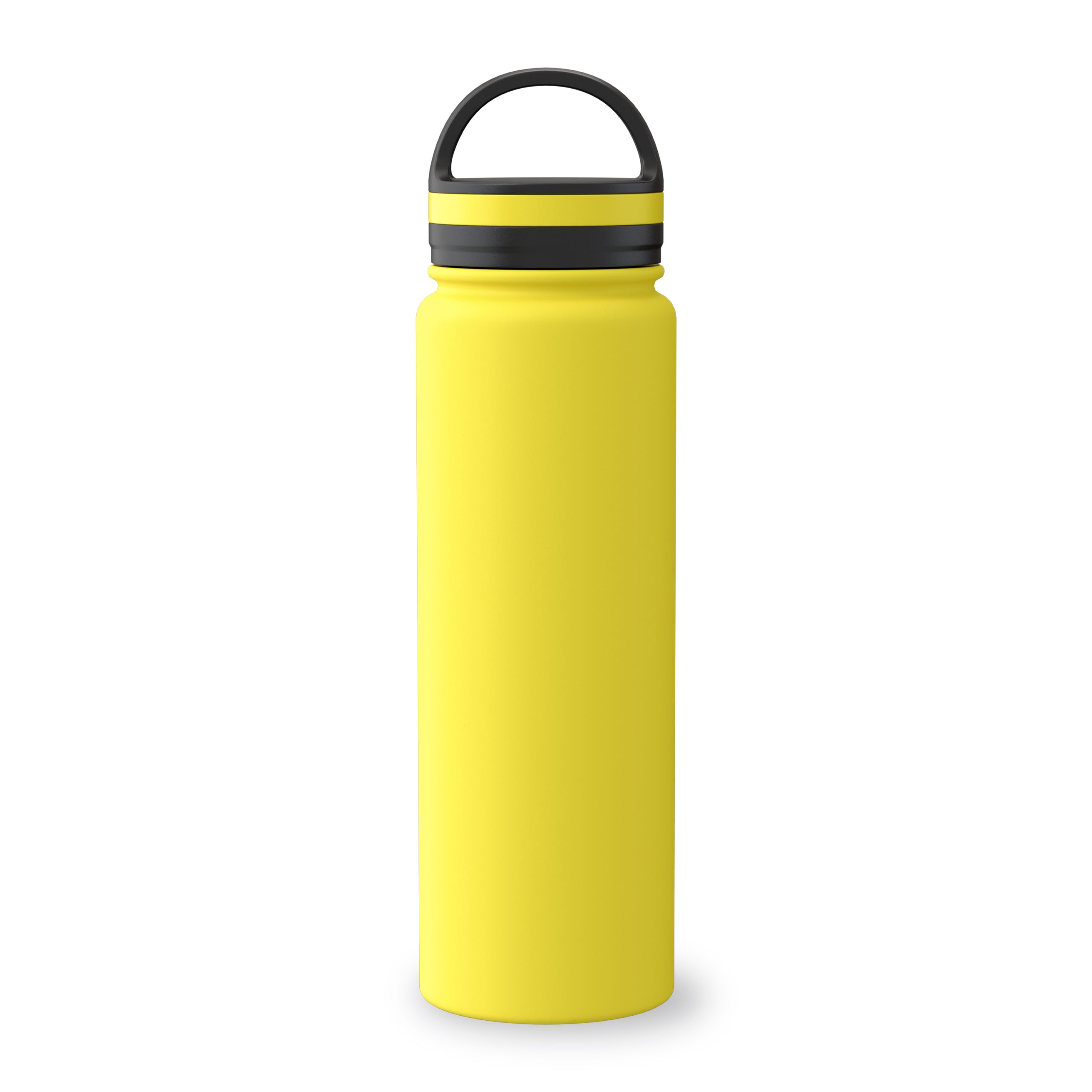 THE WILD STAINLESS STEEL BOTTLE