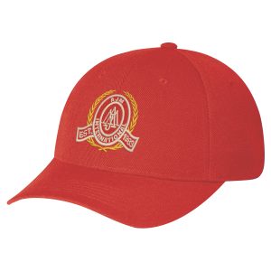 6 Panel Constructed Contour (Fitted) Cap — AJM 1260