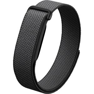 Google Fitbit Air