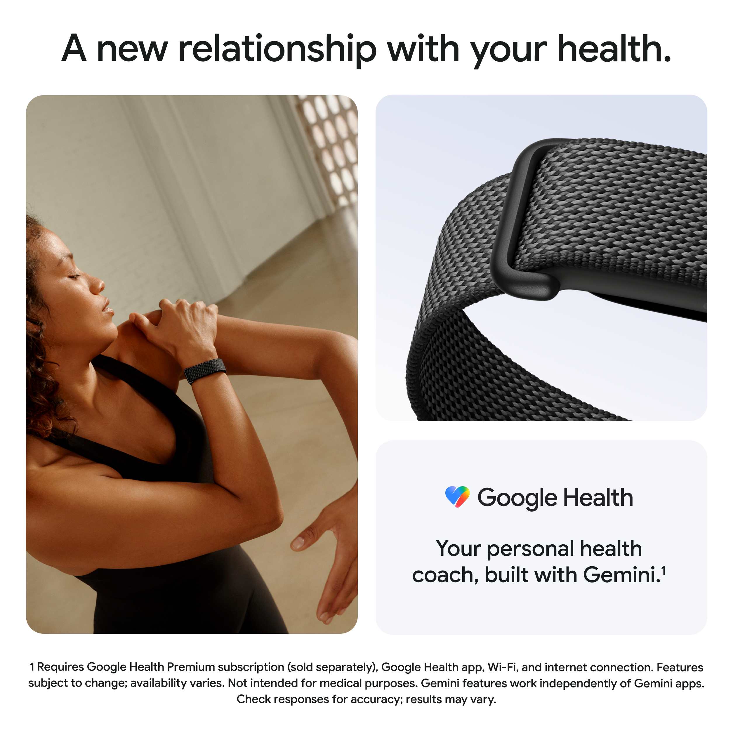 Google Fitbit Air - Image 10