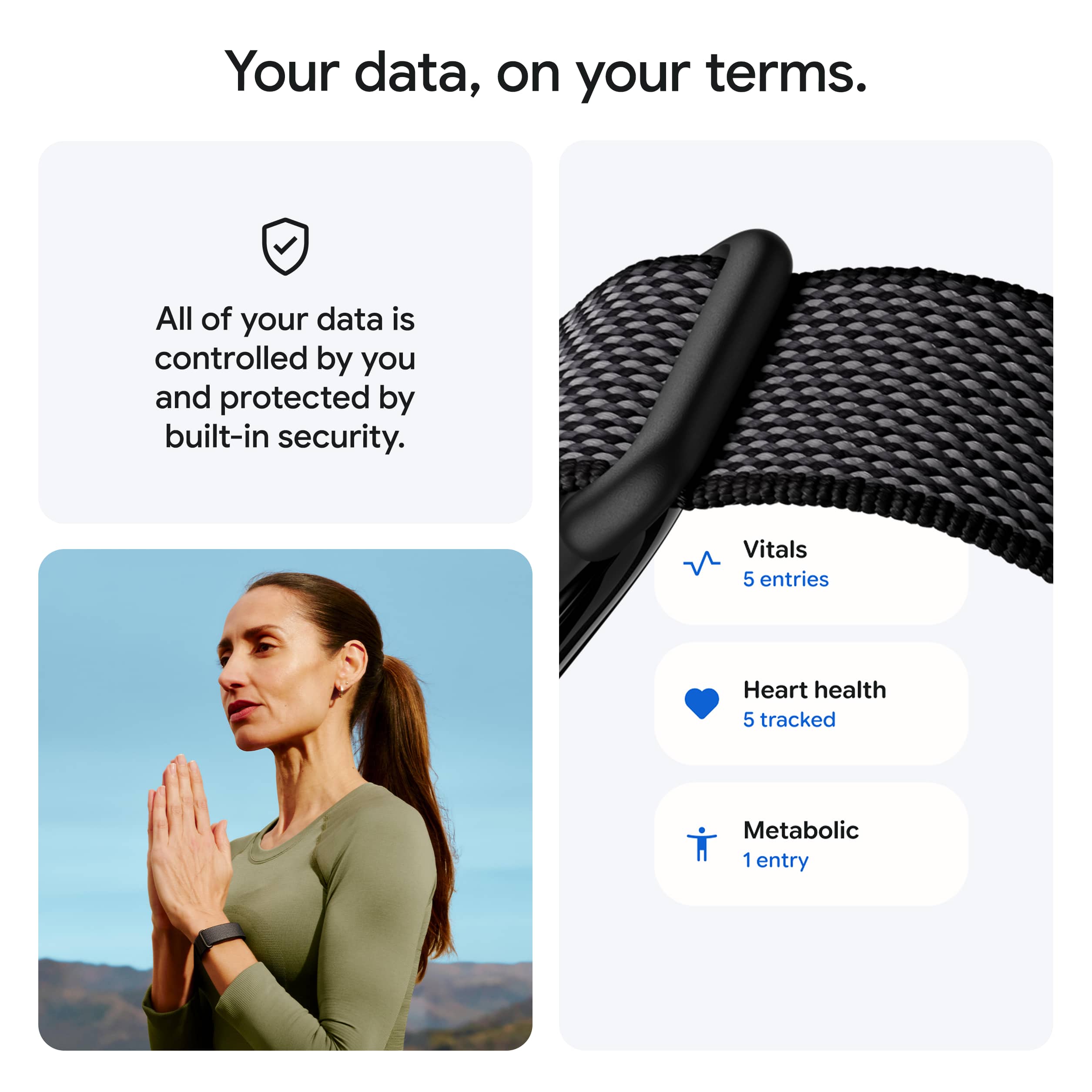 Google Fitbit Air - Image 11