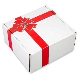 Red Bow Holiday Mailer — 10 x 10 x 5
