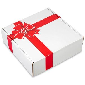 Red Bow Holiday Mailer — 12 x 12 x 4