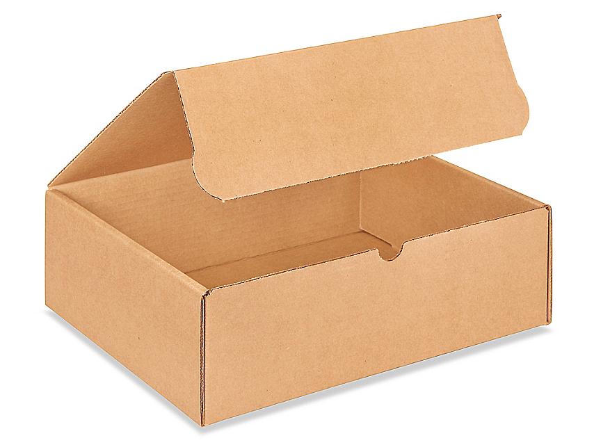 Standard Kraft Literature Mailer — 12 1/8 x 9 1/4 x 4