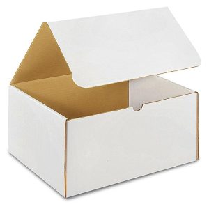 Deep White Literature Mailer — 12 1/8 x 9 1/4 x 6 1/2